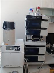 Kapalinový chromatograf s DAD a ELSD detektorem