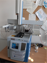 Gas chromatograph with FID, µECD and MS detector