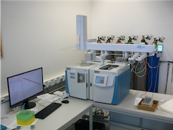 Gas chromatograph with tandem mass spectrometer GC-MS/MS 2